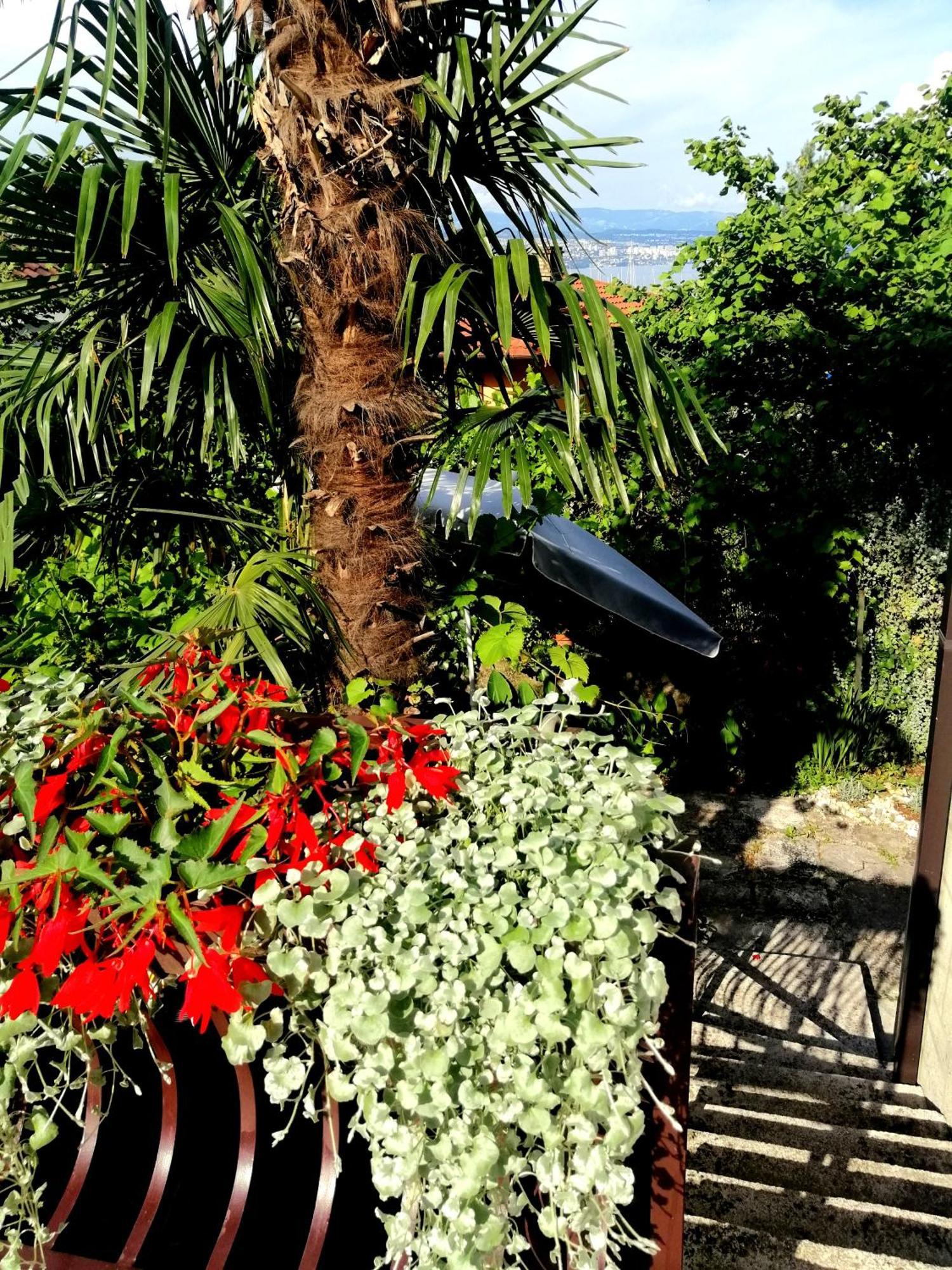 Apartment Sea Garden Ičići Zewnętrze zdjęcie